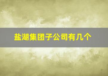 盐湖集团子公司有几个