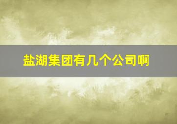 盐湖集团有几个公司啊