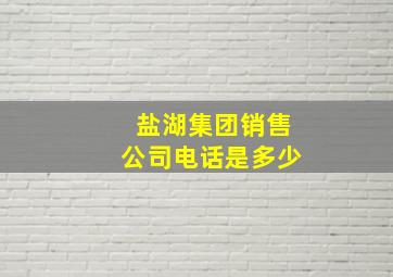 盐湖集团销售公司电话是多少