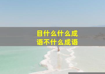 目什么什么成语不什么成语