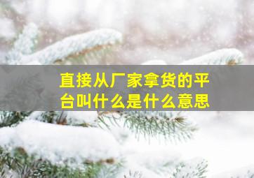 直接从厂家拿货的平台叫什么是什么意思