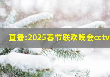 直播:2025春节联欢晚会cctv1