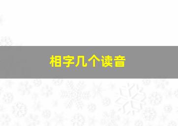 相字几个读音