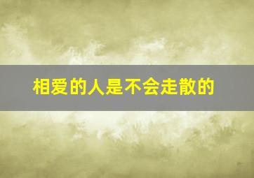 相爱的人是不会走散的