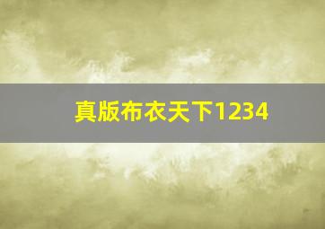 真版布衣天下1234