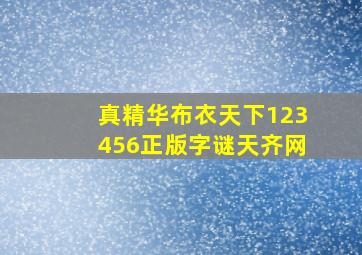 真精华布衣天下123456正版字谜天齐网