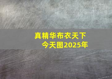 真精华布衣天下今天图2025年