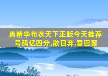 真精华布衣天下正版今天推荐号码亿四分,散日弃,吾巴聚