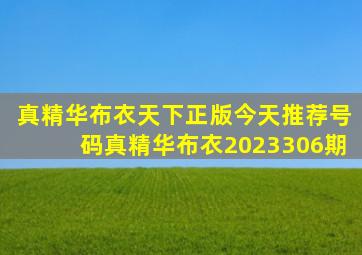 真精华布衣天下正版今天推荐号码真精华布衣2023306期