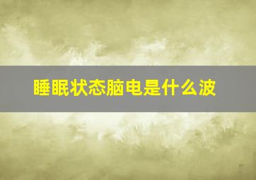 睡眠状态脑电是什么波