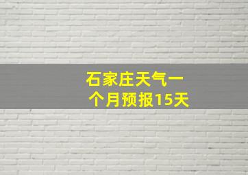 石家庄天气一个月预报15天