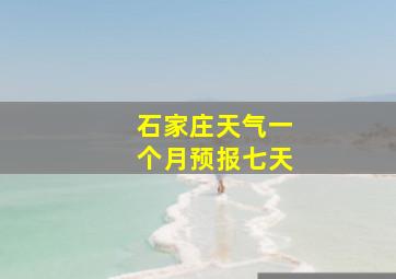 石家庄天气一个月预报七天