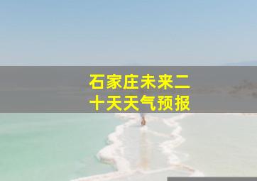 石家庄未来二十天天气预报