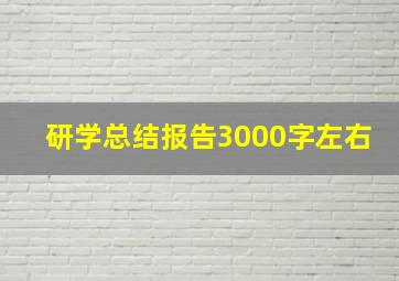 研学总结报告3000字左右