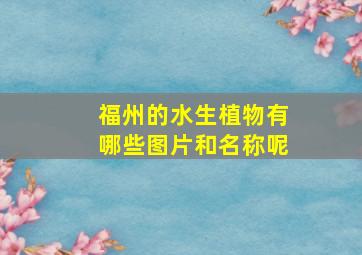 福州的水生植物有哪些图片和名称呢