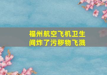 福州航空飞机卫生间炸了污秽物飞溅