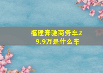 福建奔驰商务车29.9万是什么车