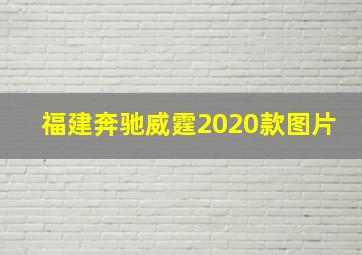 福建奔驰威霆2020款图片