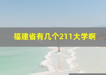 福建省有几个211大学啊