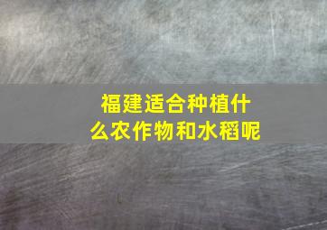 福建适合种植什么农作物和水稻呢