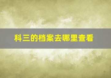 科三的档案去哪里查看