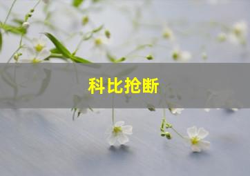 科比抢断