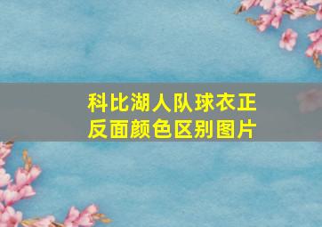 科比湖人队球衣正反面颜色区别图片