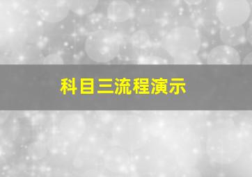 科目三流程演示