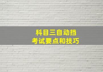 科目三自动挡考试要点和技巧