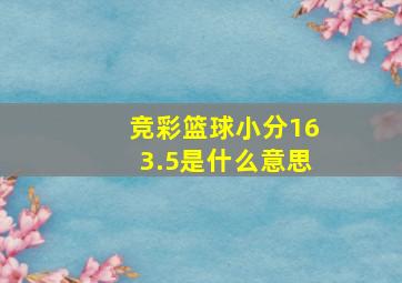 竞彩篮球小分163.5是什么意思