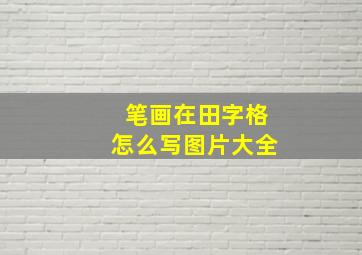 笔画在田字格怎么写图片大全