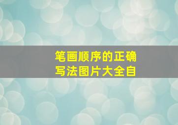 笔画顺序的正确写法图片大全自