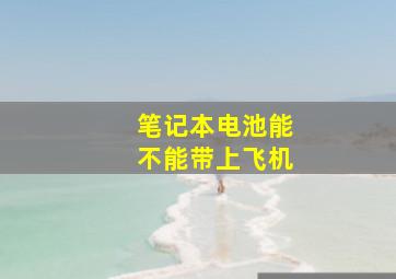 笔记本电池能不能带上飞机