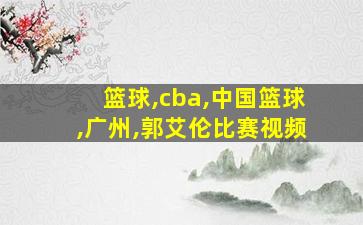 篮球,cba,中国篮球,广州,郭艾伦比赛视频