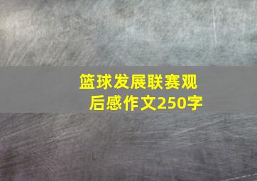 篮球发展联赛观后感作文250字