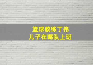 篮球教练丁伟儿子在哪队上班