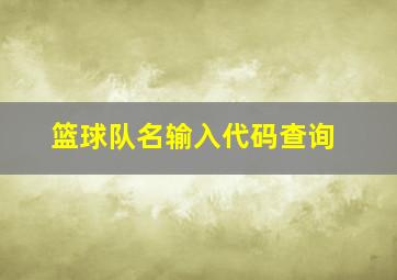 篮球队名输入代码查询