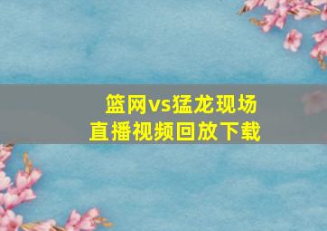 篮网vs猛龙现场直播视频回放下载