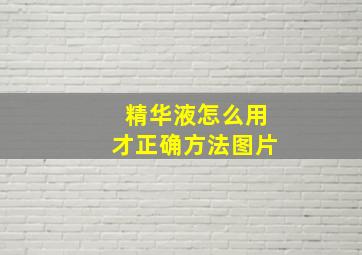 精华液怎么用才正确方法图片