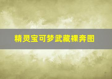 精灵宝可梦武藏裸奔图