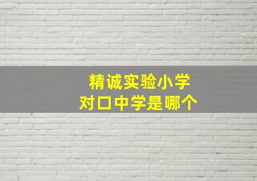 精诚实验小学对口中学是哪个