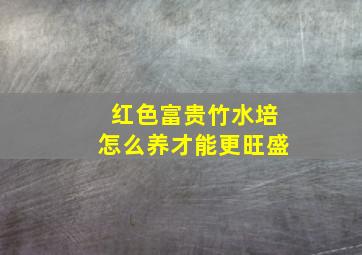 红色富贵竹水培怎么养才能更旺盛