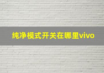 纯净模式开关在哪里vivo