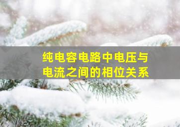 纯电容电路中电压与电流之间的相位关系