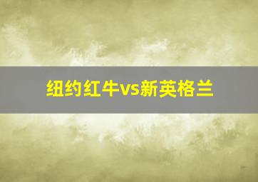 纽约红牛vs新英格兰