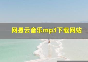 网易云音乐mp3下载网站