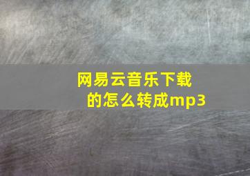 网易云音乐下载的怎么转成mp3