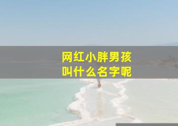 网红小胖男孩叫什么名字呢