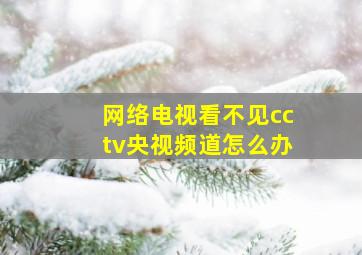 网络电视看不见cctv央视频道怎么办