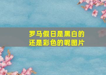 罗马假日是黑白的还是彩色的呢图片